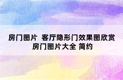 房门图片  客厅隐形门效果图欣赏 房门图片大全 简约